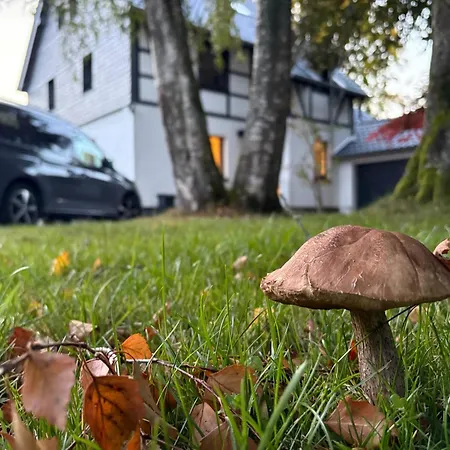 Haus Zeitlos *